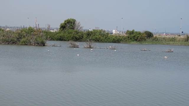 Saline di Priolo